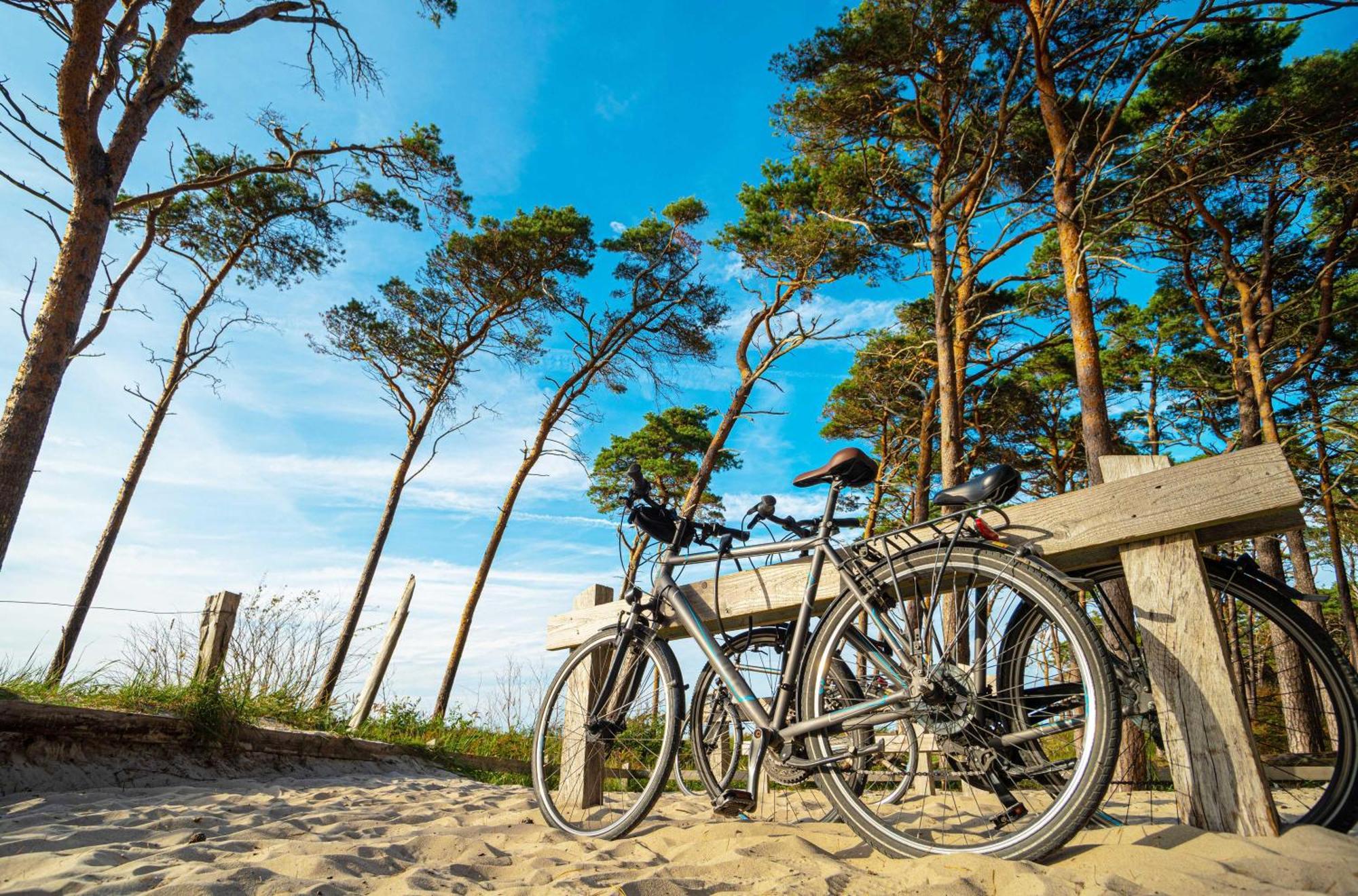 Apartment Heymat An Der Seebruecke Zingst Exterior foto
